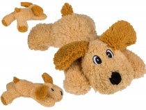 Chien peluche